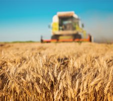 U vindt Mobitank in de Agrarische- en Foodsector